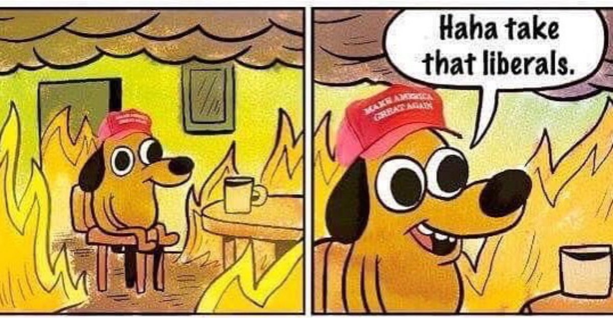 fairybudmother_'s tweet image. 