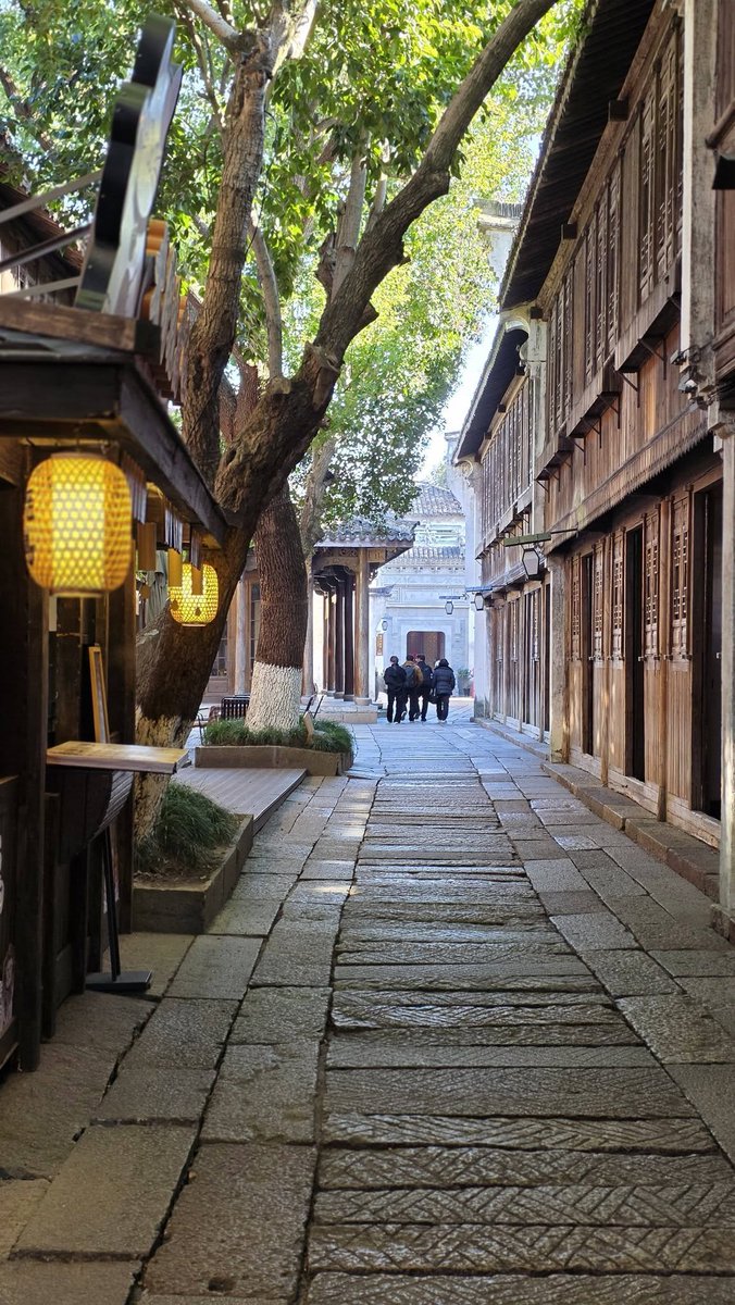 Toilet Wangi dan Gengsi Politik
Mengapa Wuzhen Begitu Obsesif pada Kebersihan?

Bagi saya wisatawan awam yang sempat ke sana, kebersihan toilet dan jalanan di Wuzhen mungkin terasa sebagai pelayanan standar sebuah destinasi wisata premium. Namun, jika dilihat lebih dalam, lantai