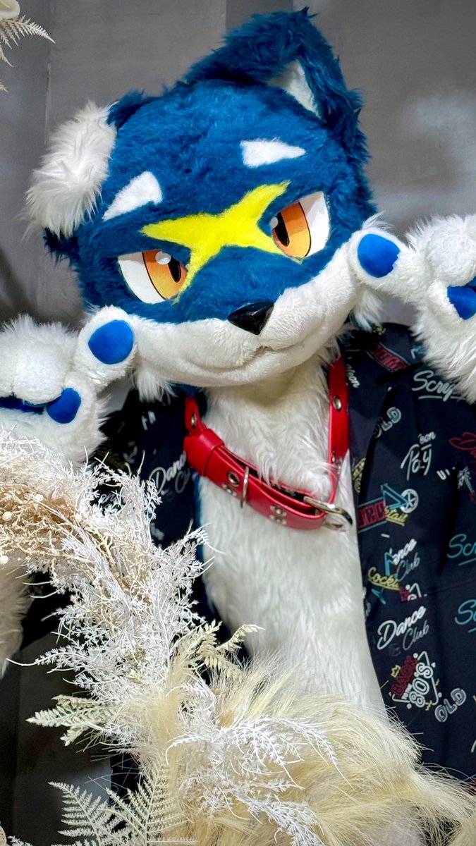 JMoF2026 全日参加します！楽しむぞ〜！！😆