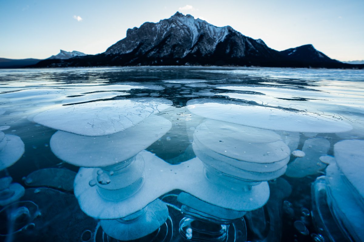 Kyle Brittain tweet media