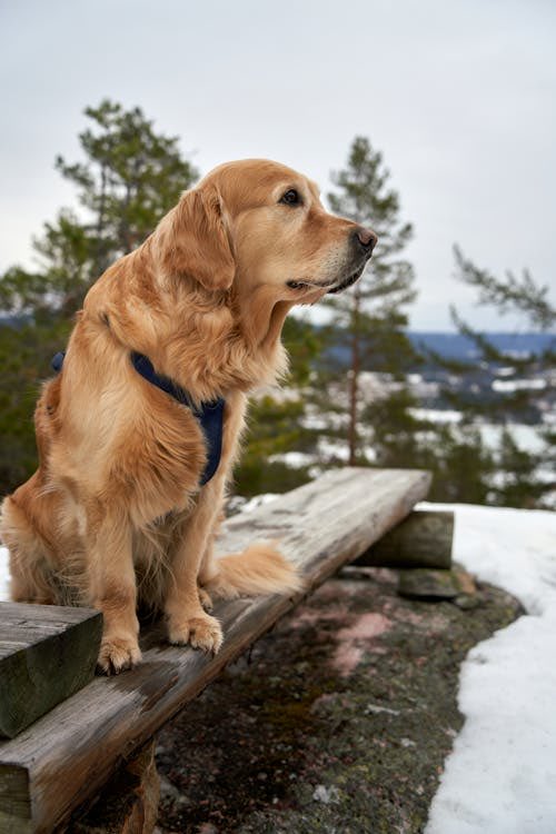 Marie Nassar tweet media