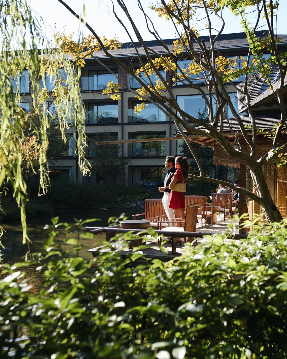 FSKyoto's tweet image. Experience a moment of Kyoto tradition at Fuju Lounge with our Japanese Sweet and Matcha Set. 楓樹にて、「和菓子と抹茶のセット」では、宇治抹茶「雲鶴」の奥深い味と、有識菓子御調進所「老松」とのコラボレーションによる丁寧に作られたオリジナル和菓子をお召し上がりいただけます。