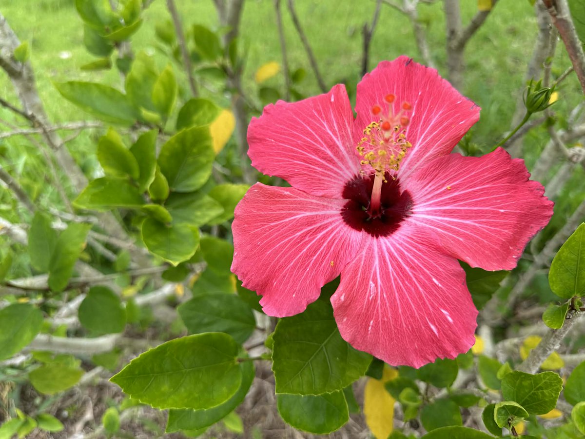 ２３レコーズ 田渕公明／KIMIAKI TABUCHI Official tweet media