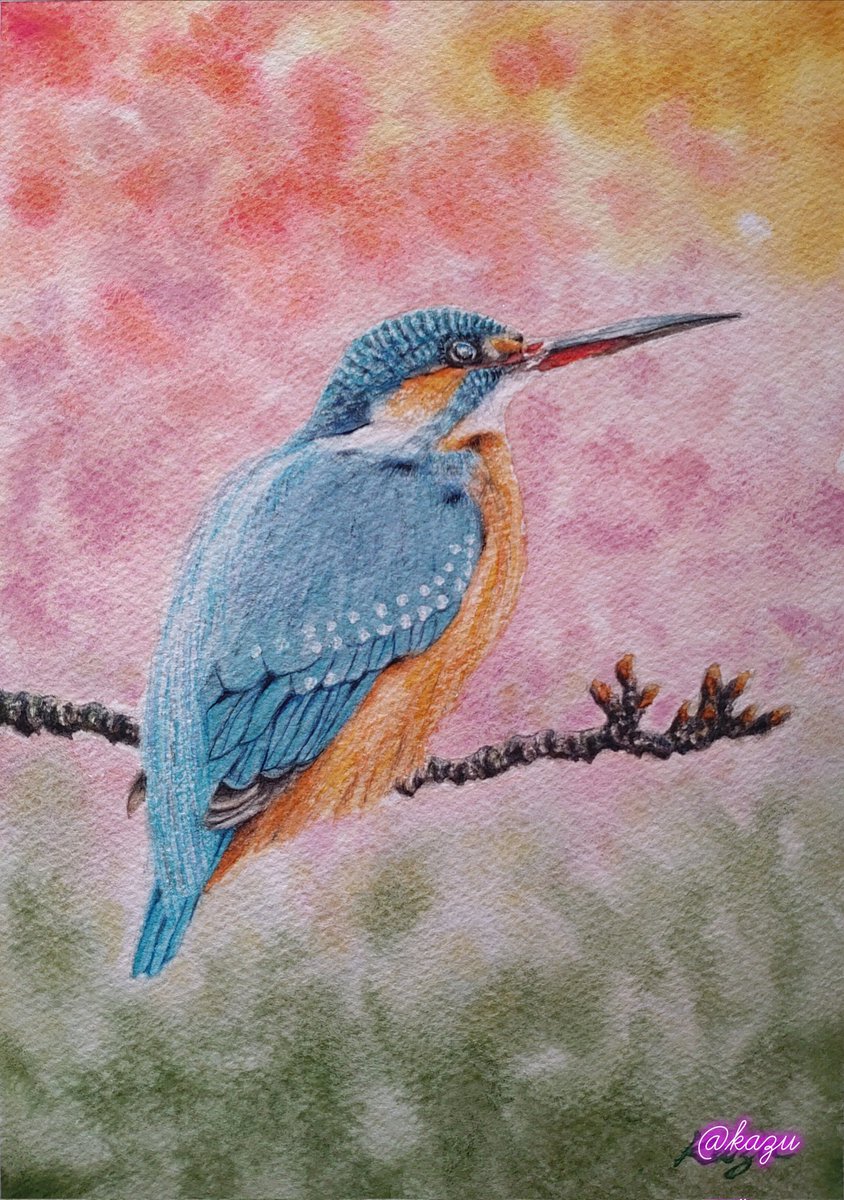 作品完成 7/1/2026 「空へ 翡翠（Kingfisher）」 透明水彩画 背景を