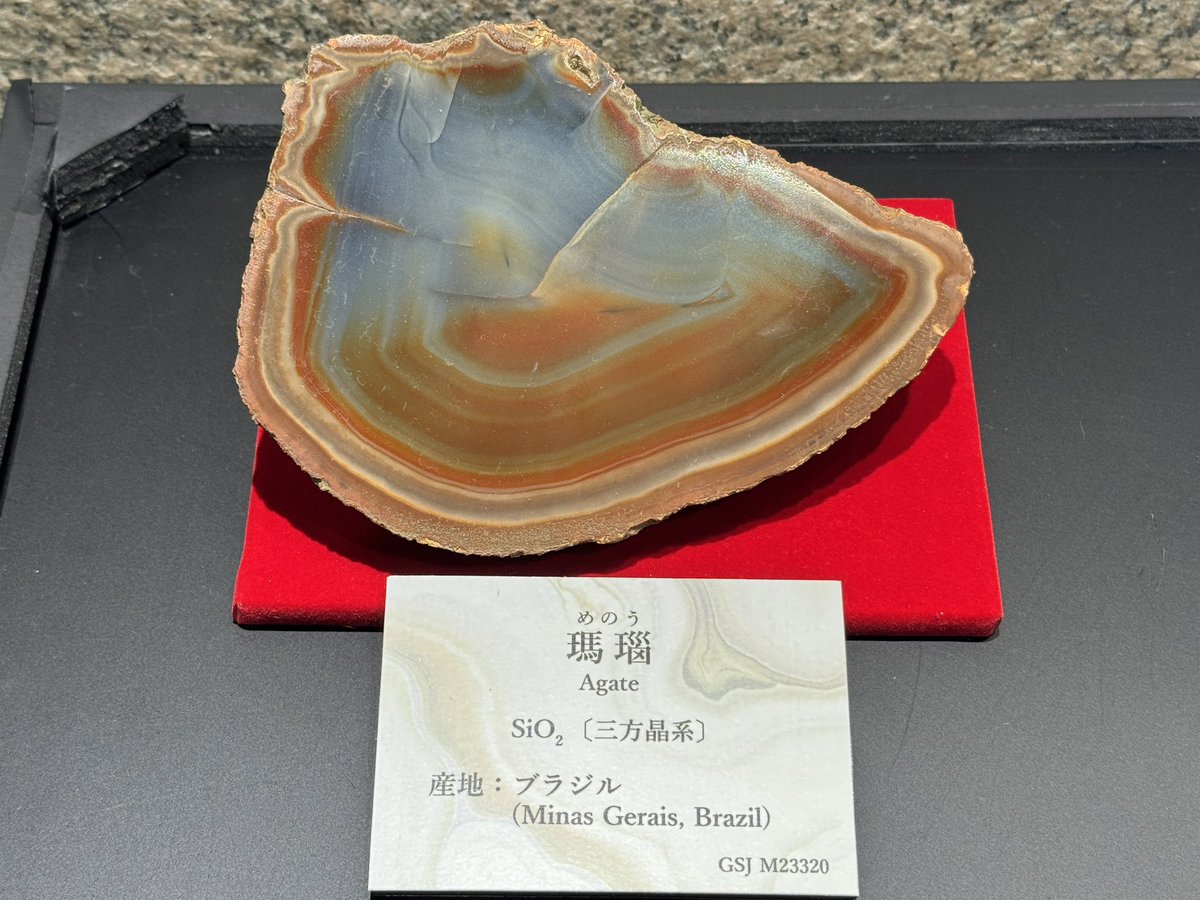 今年の干支、#午年 にぴったりな瑪瑙（メノウ）でジオジオ。瑪瑙という