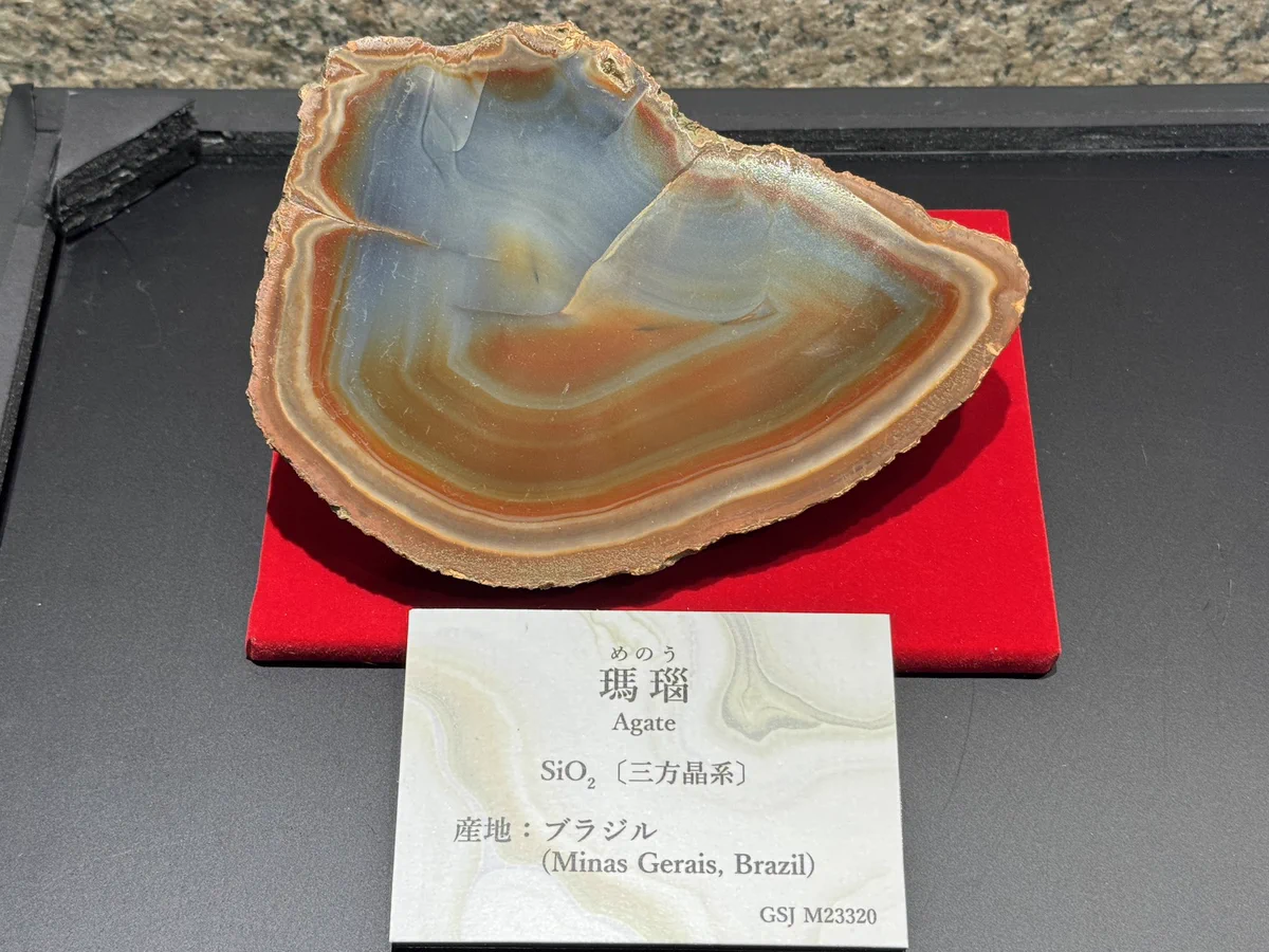 日本地質学会 on X: 
