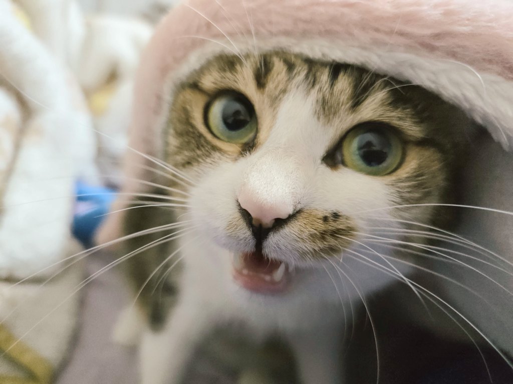 まりもページ まりもちゃん！と🧌 (@marimo2021915) / Posts / X