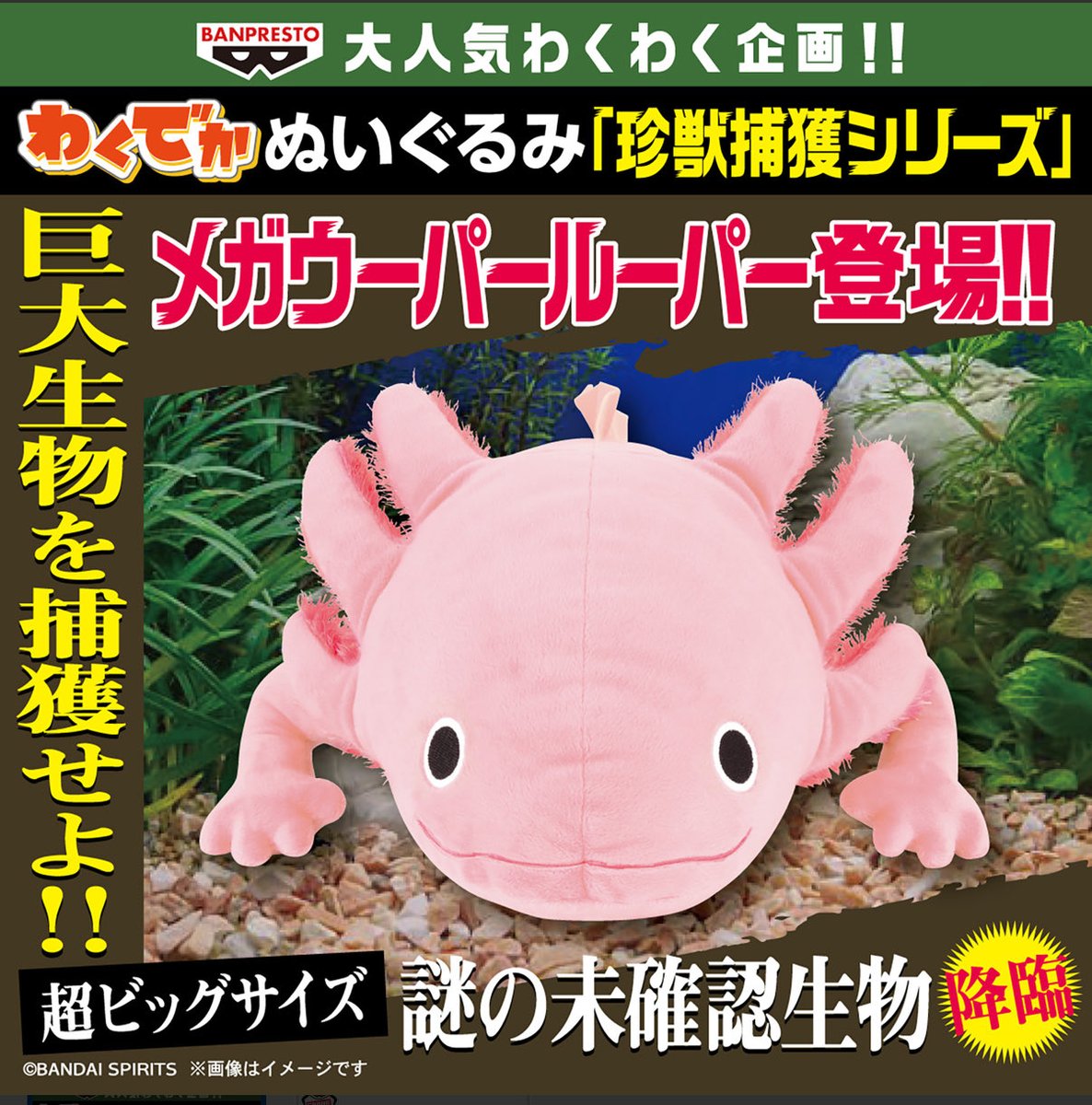 わくでかぬいぐるみ 珍獣捕獲シリーズ～メガウーパールーパー～ 登場