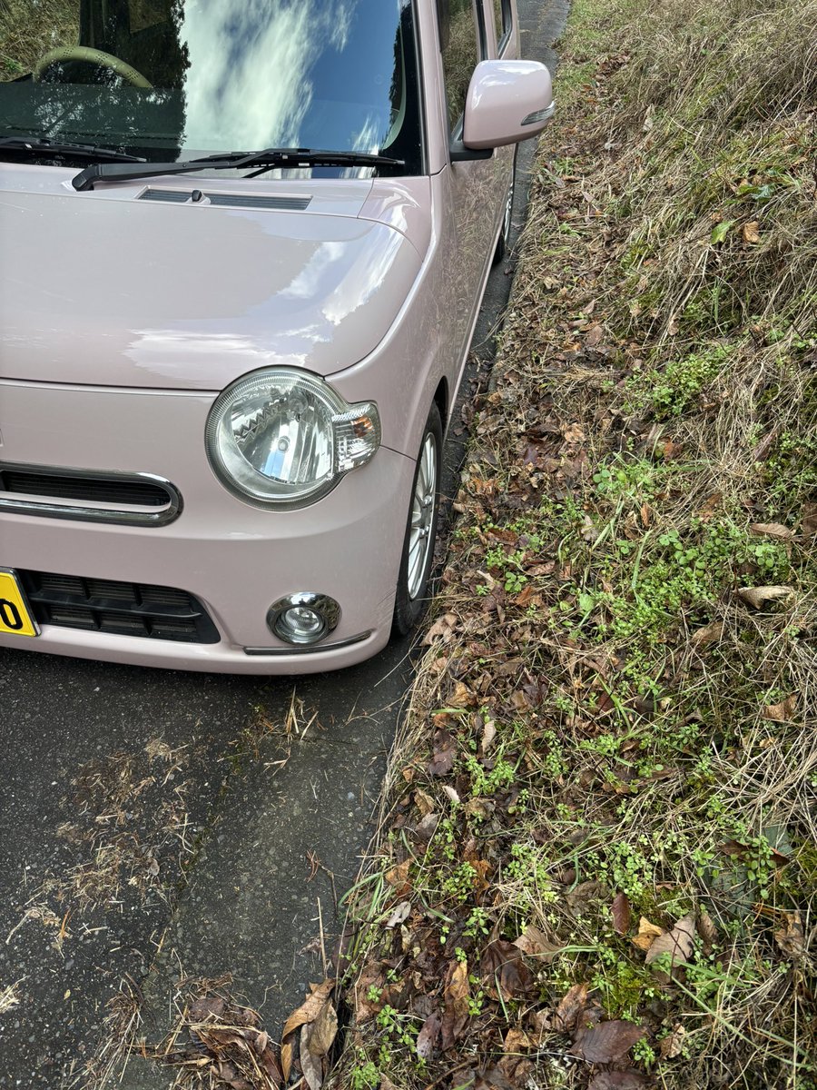 買って1ヶ月くらい経ってた