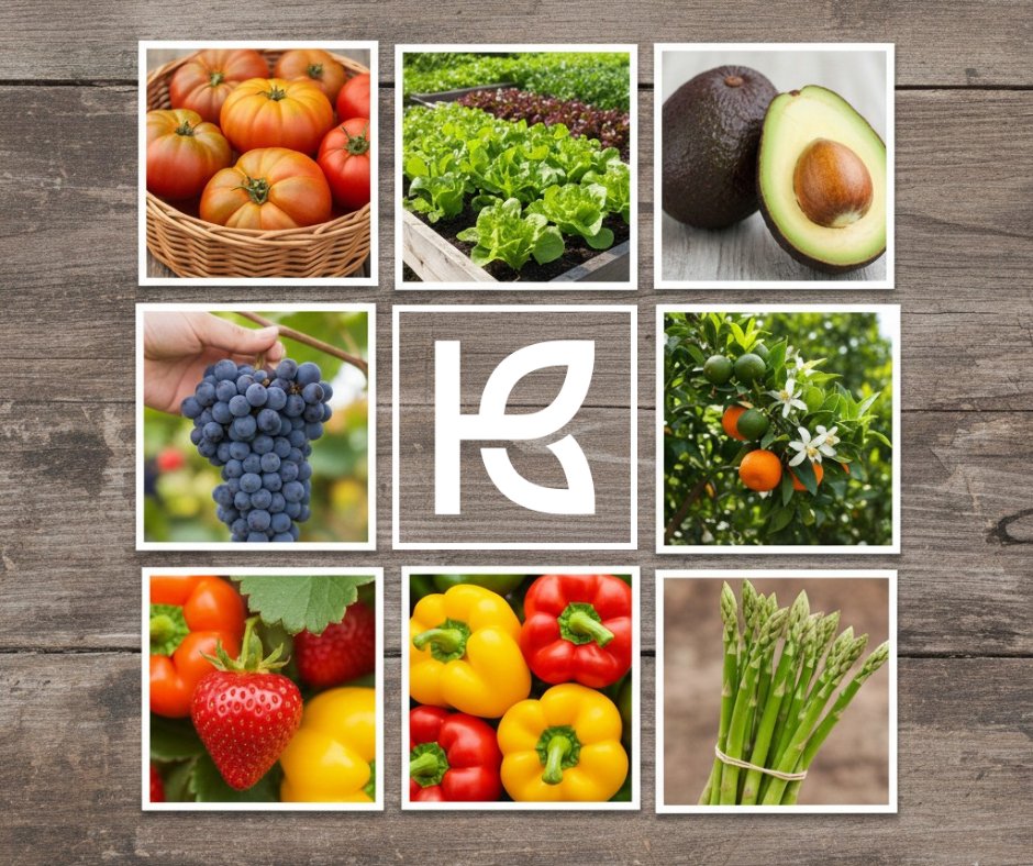 Dudley Mitchell tweet media