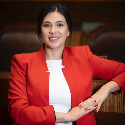 Karol Cariola será la primera senadora desaforada.
#ReportajesT13 
#Corrupción