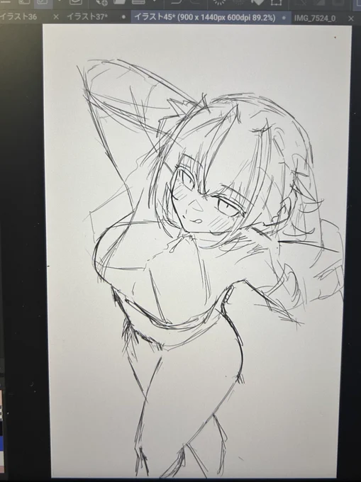 ウィシャデルwip 
