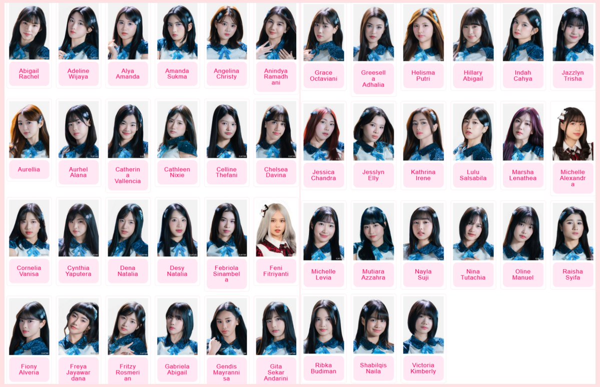 viiccc89's tweet image. New Member Profile Pictures on JKT48 website