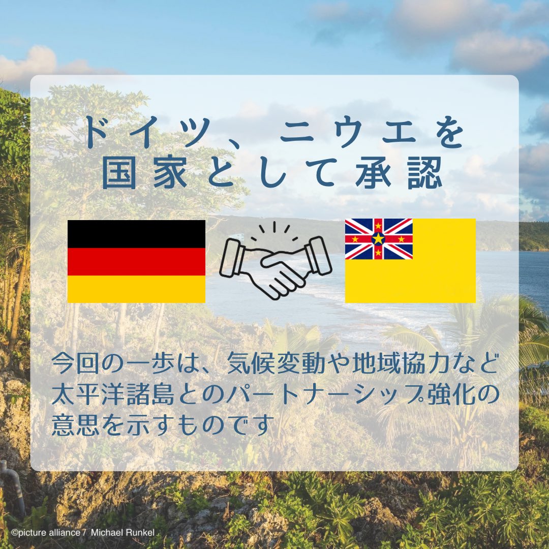 ミンダナオの黒豹 輜重兵第三十連隊 死の転進」 太平洋戦争 南方, image size:1080x1080