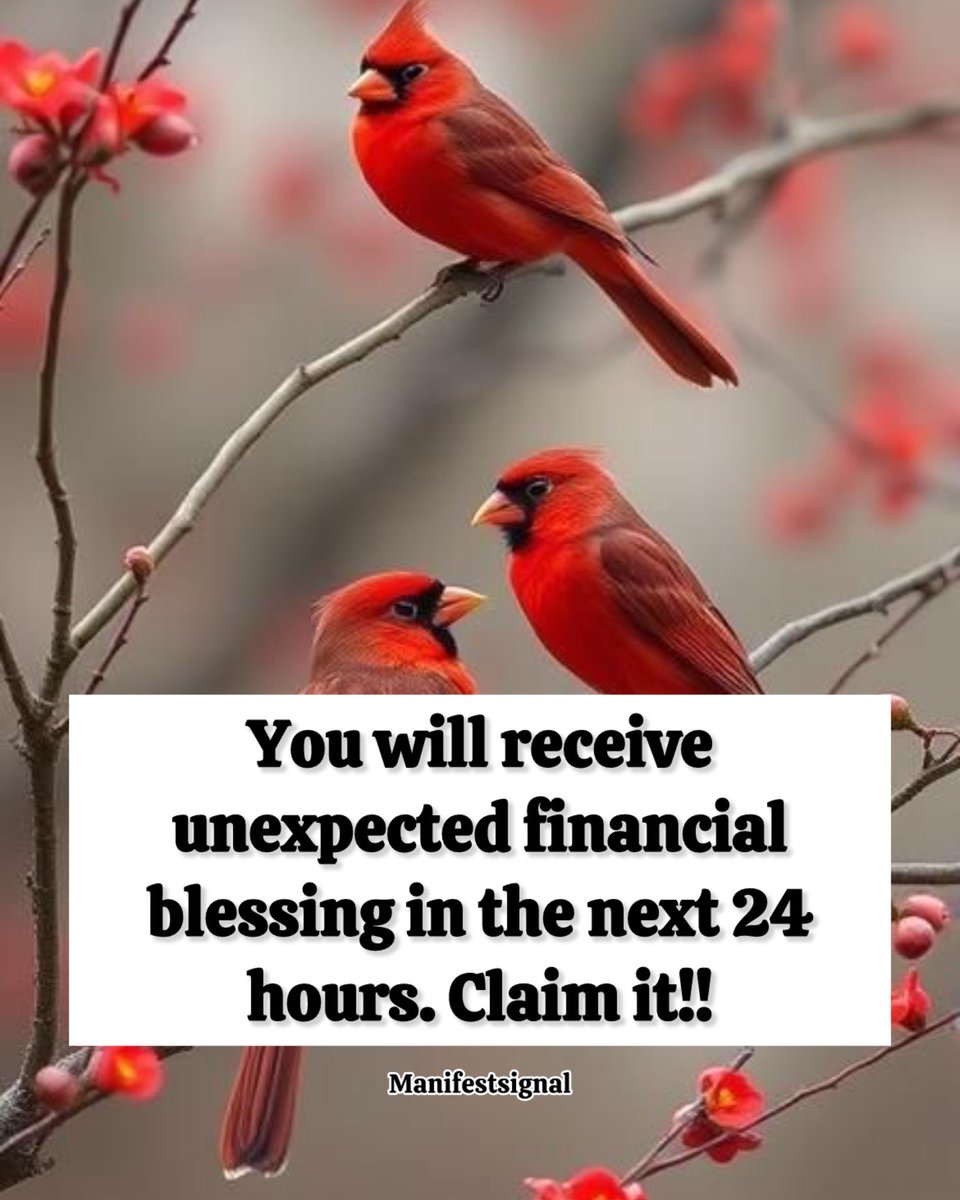 Law Of Attraction Coach tweet media