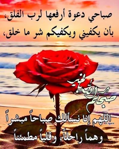 محمد عبدالله احمد الفالح ابو عبدالله (@mohammadalf2017) on Twitter photo 