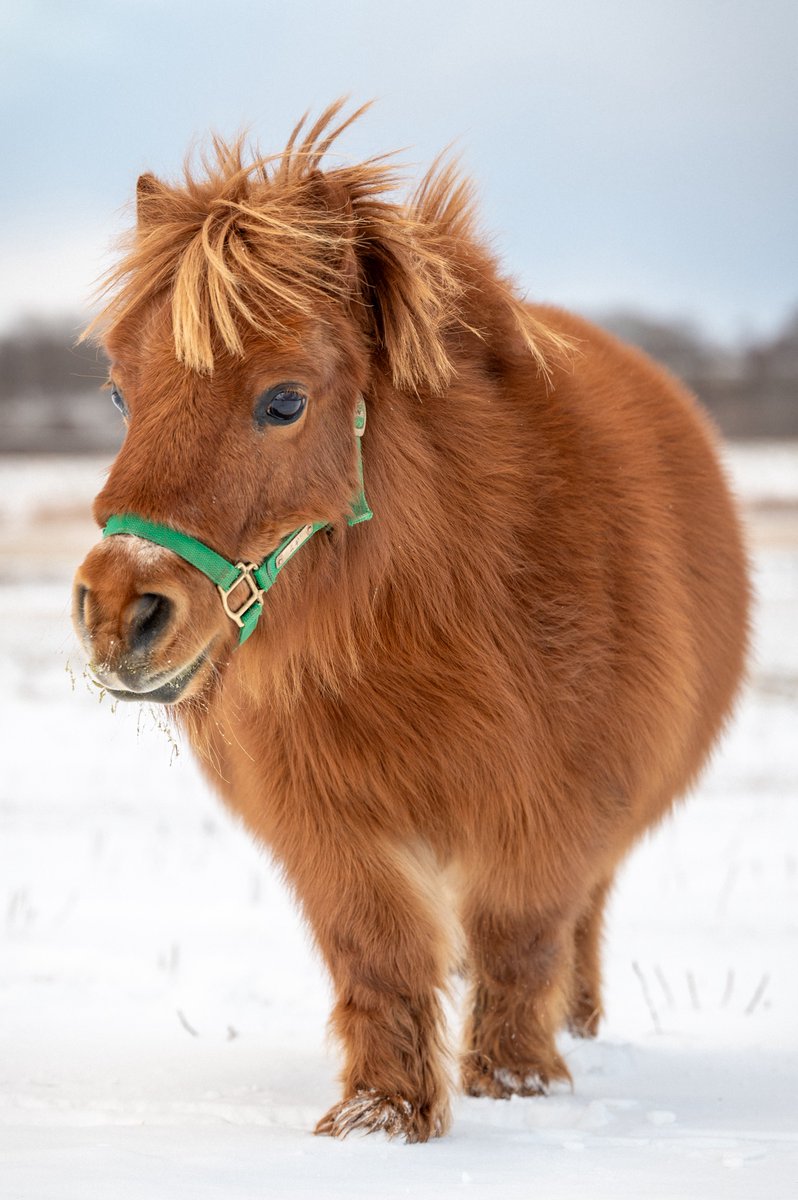 るーちゃん (@RuchanUo) / Posts / X