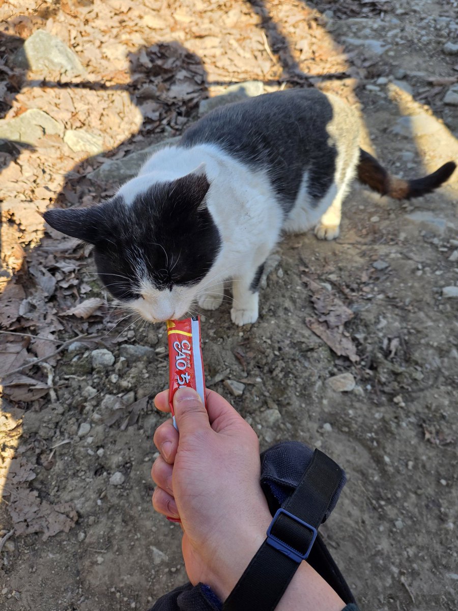 그림자도 어떻게 저리 동구라미야 ㅠ