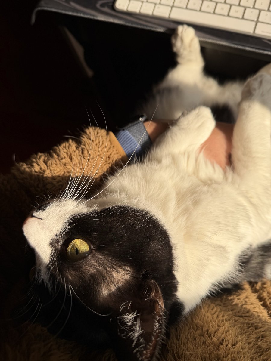 willsonlee's tweet image. 享受天伦之乐