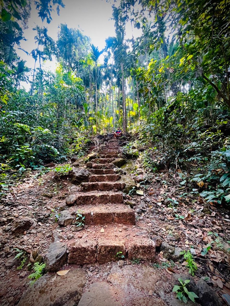 cfmagindia's tweet image. On the F1 break, our Editor finding his own “stairway to heaven”, somewhere deep in the Maharashtra forest…👣 🌿

Some climbs aren’t about speed - just balance. 

#Recharge #F1 #StairwayToHeaven