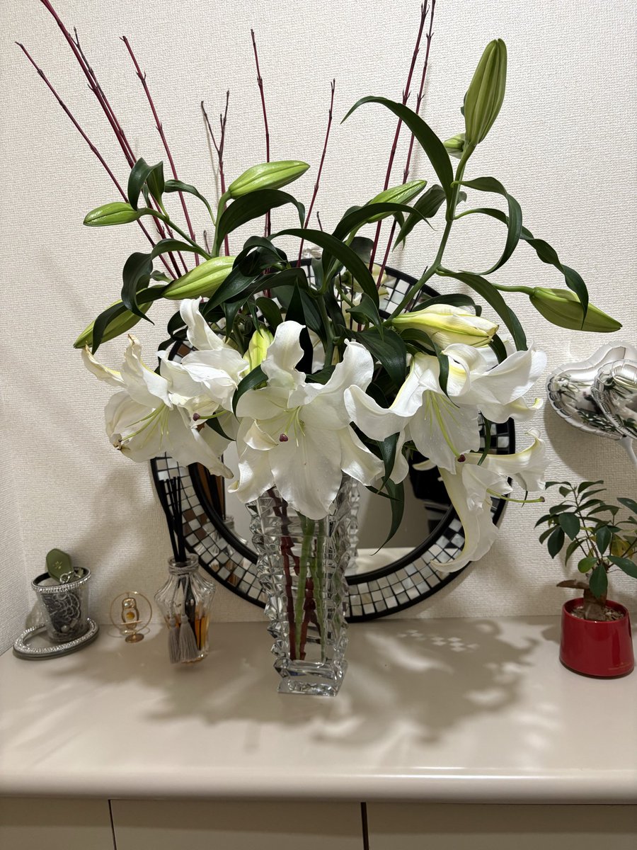 リュンヌページ 🌙リュンヌ🌙@😷👑 (@lune_korerisu) / Posts / X