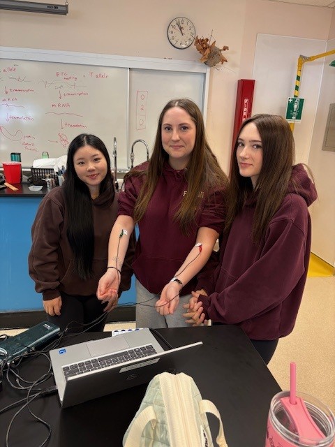 Fulton Secondary tweet media