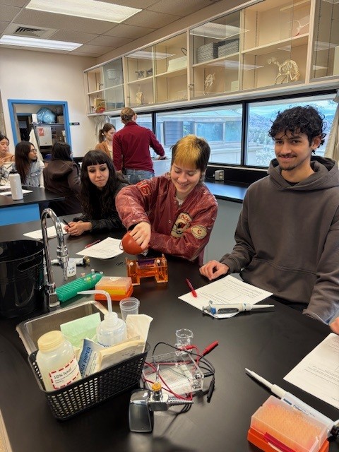 Fulton Secondary tweet media