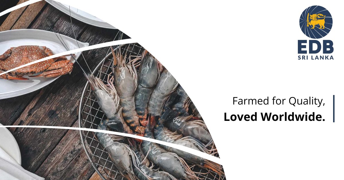 Highlighting the success of sustainable inland aquaculture, producing premium fresh and processed fish products for export, diversifying beyond traditional marine exports.
 
Explore more: bit.ly/49hMvV5
 
#SriLankaAquaculture #SustainableFishing