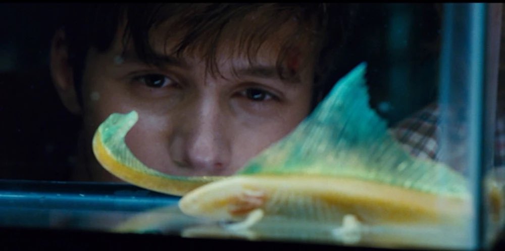 Brand0nsm181274's tweet image. I wonder if they run free on Ile Saint-Hubert