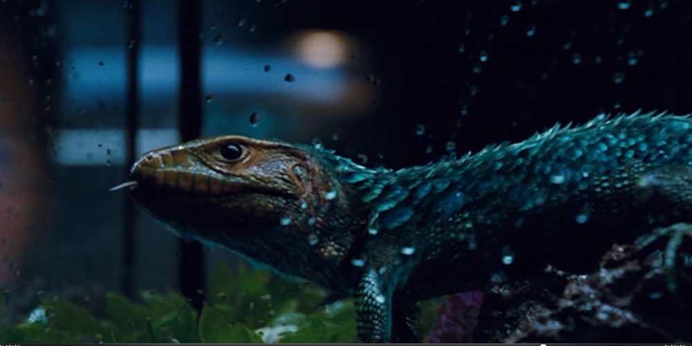 Brand0nsm181274's tweet image. I wonder if they run free on Ile Saint-Hubert