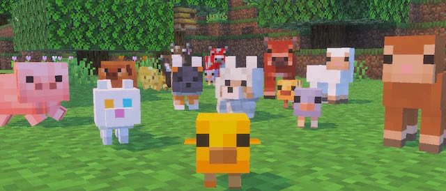 Wagboo_ng's tweet photo. Baby animals https://t.co/iZmPGGkDqs