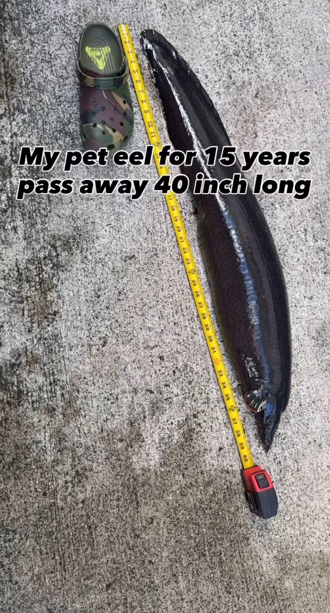 2Josher's tweet image. 