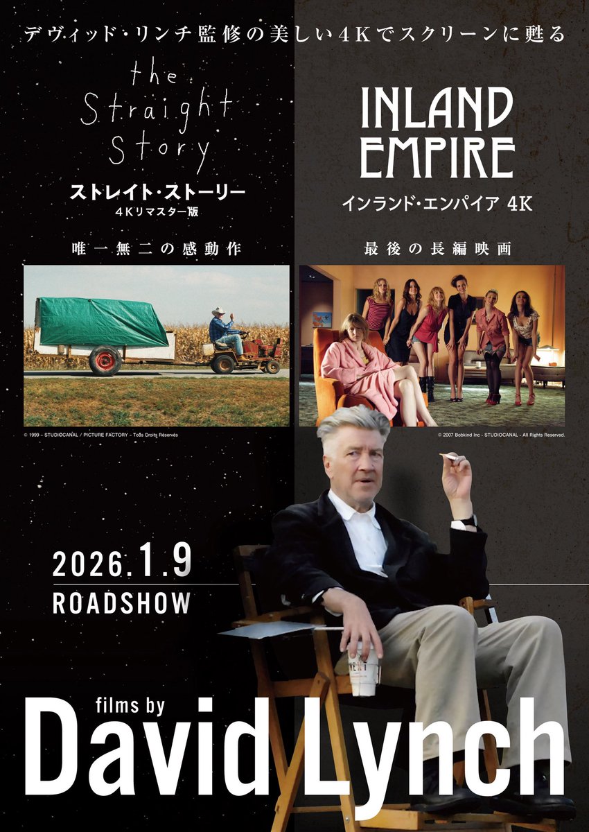 最終値下げ】インランド・エンパイア Blu-ray DVD インランド・エンパイア DVD ローラ・ダーン – AOBADO オンラインストア, image size:850x1200