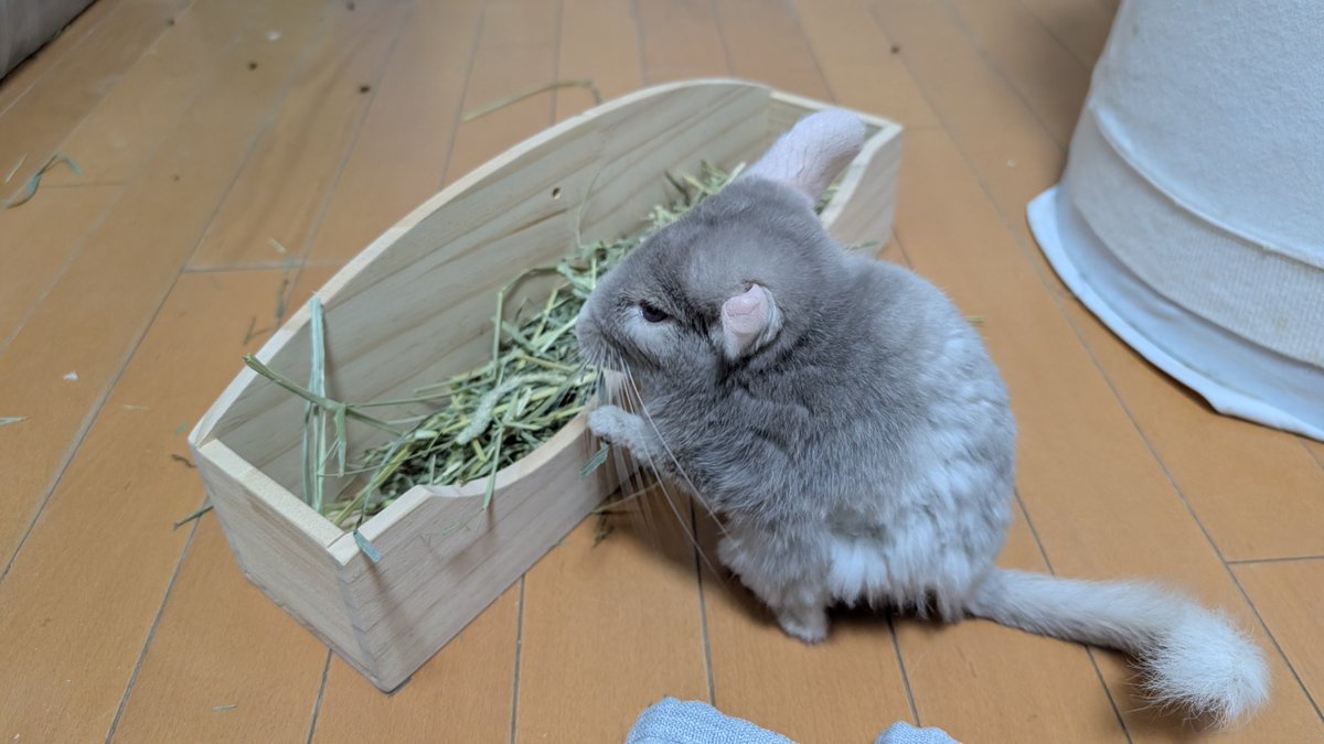 はなげさん tweet media