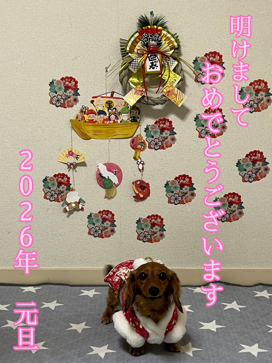 青番長 tweet media