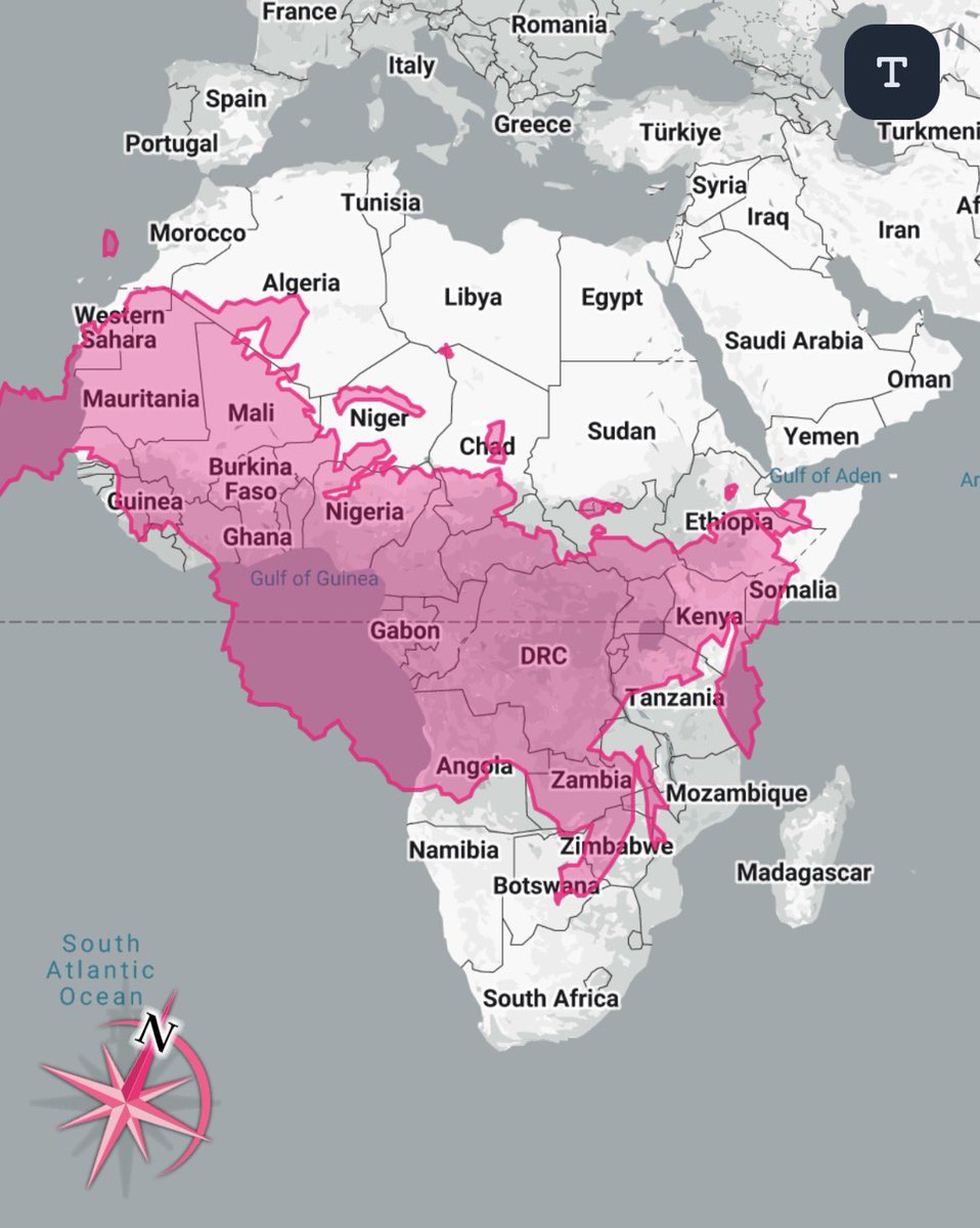 Artemis the Dragon Protogen tweet media