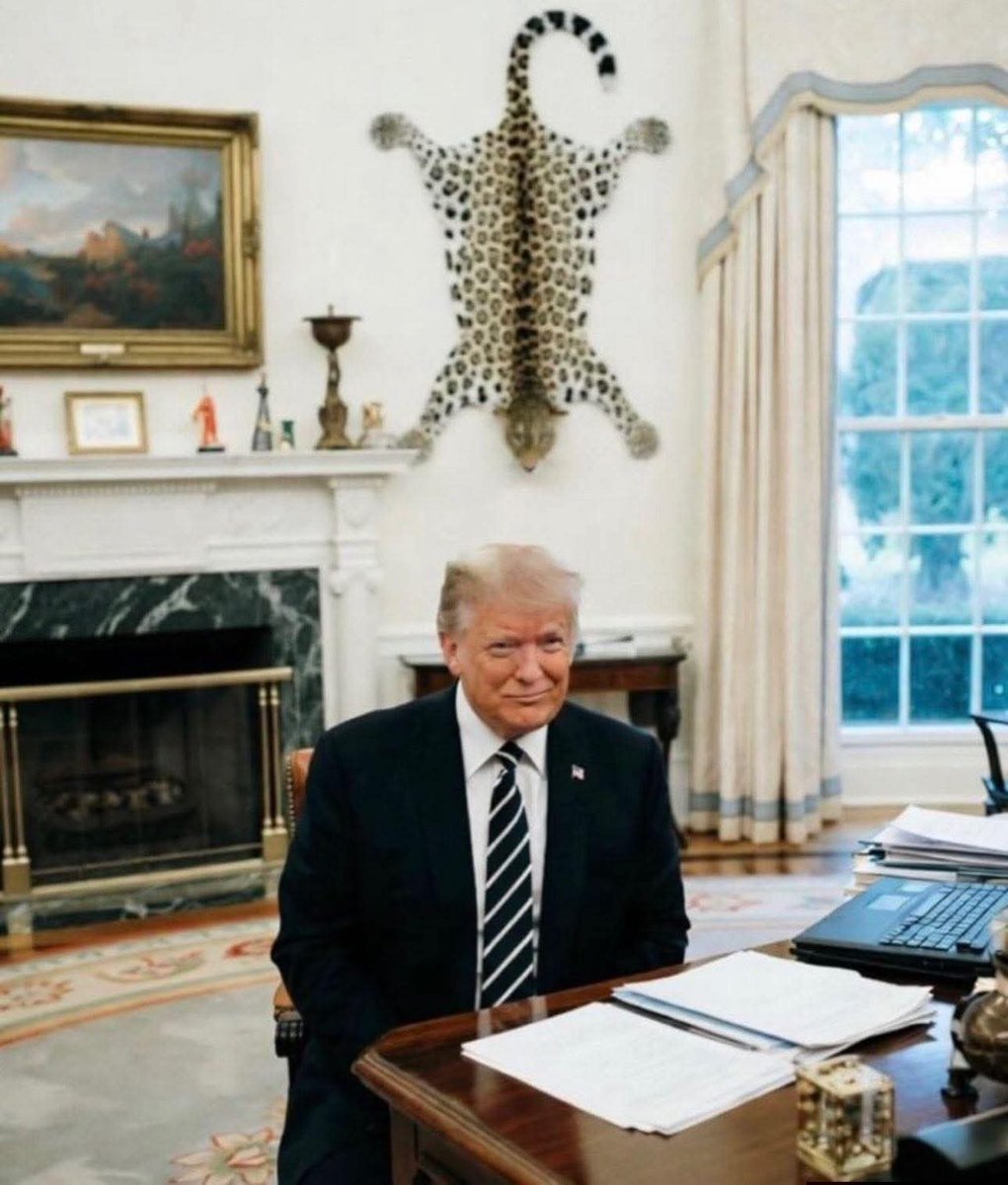 Paulo navas tweet media