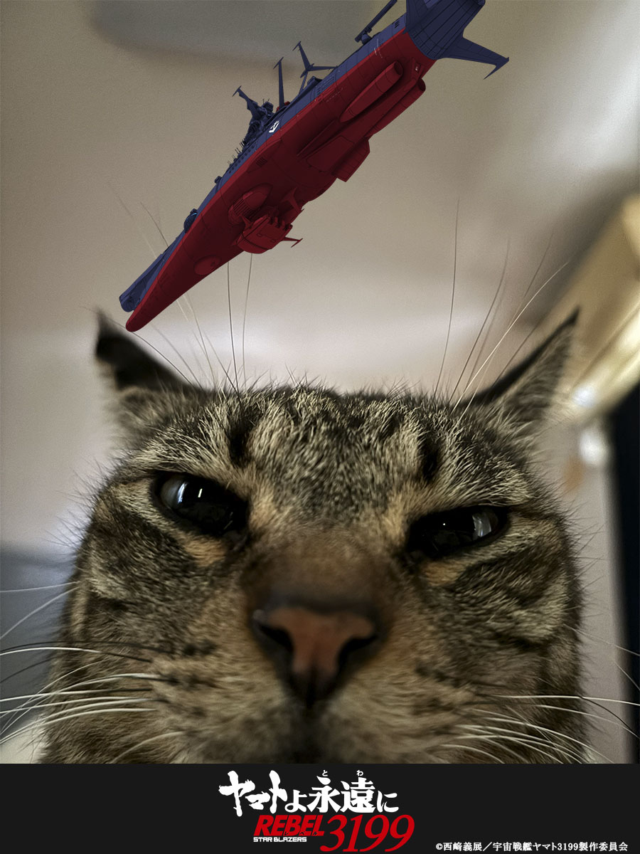 はっちゃん⚓️🍙 (@Eight_07_07) / Posts / X