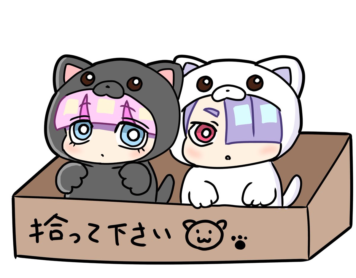 みーこ (@mikeeneko) / Posts / X