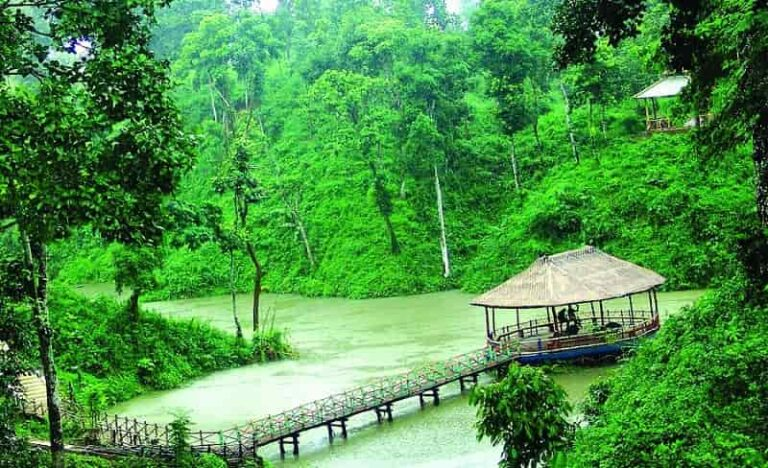 Tripura’s untouched beauty feels like nature’s own meditation. 🌿💚
Where green hills, calm waters, and silence heal the soul. 🍃
#Tripura #BeautifulTripura #NatureLovers #IncredibleIndia #NortheastIndia #WeStandWithTHALAPATHY