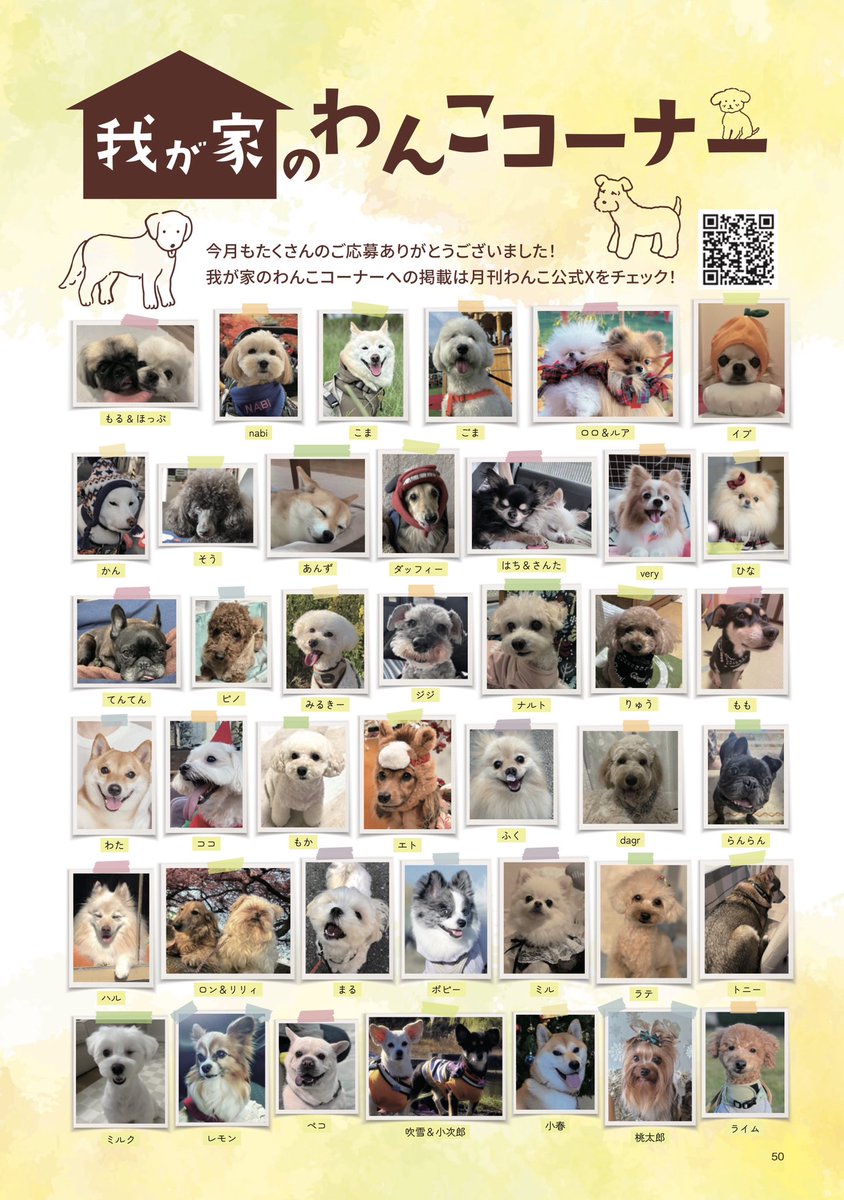 gekkan_wanko's tweet photo. 【当選者発表⑤】※ラスト
こちらの写真は月刊わんこvol.26（1/15発売）我が家のわんこコーナーに掲載されています👏🐶㊗️※掲載されていたらリポストをお願いします！

【先行販売中】
通常版→https://t.co/nrzXAFXp8X
Special Edition→https://t.co/DhZjVKNj4m

※当選発表は画像をご確認ください📖
@d5Vm663bHB979nv
@miru1108miru
@morimototama
@3lpjmqQlEg90829
@azukian1030
@hfcxdfhhnkoihfd
@chamkorin
@lyps2v
@cocosaho2
@aikoyanyanyan
@_m07_11s_
@mimm1134050
@13mimi10