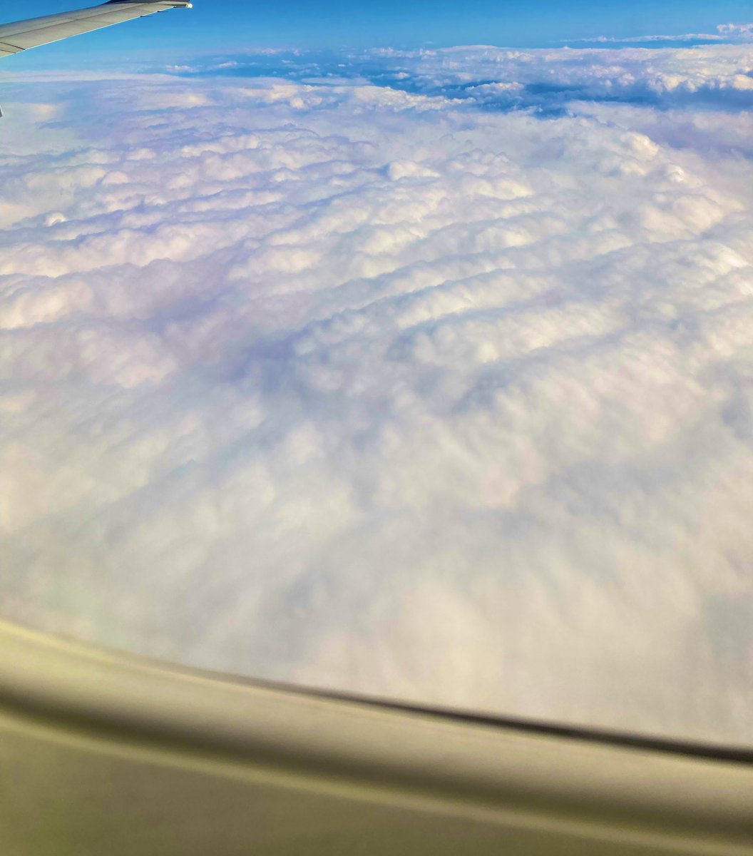 バトロワの待機画面、北の大地で楽しんでやって来るぜ！