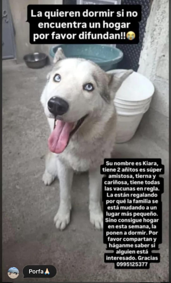 #AyudaSocial