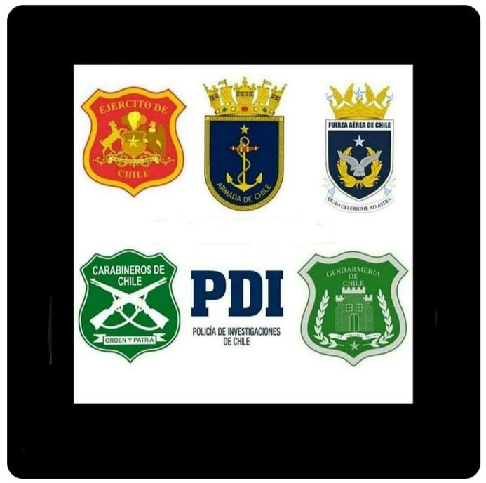 Relatos_y_fotos_Uniformados🇨🇱 tweet media