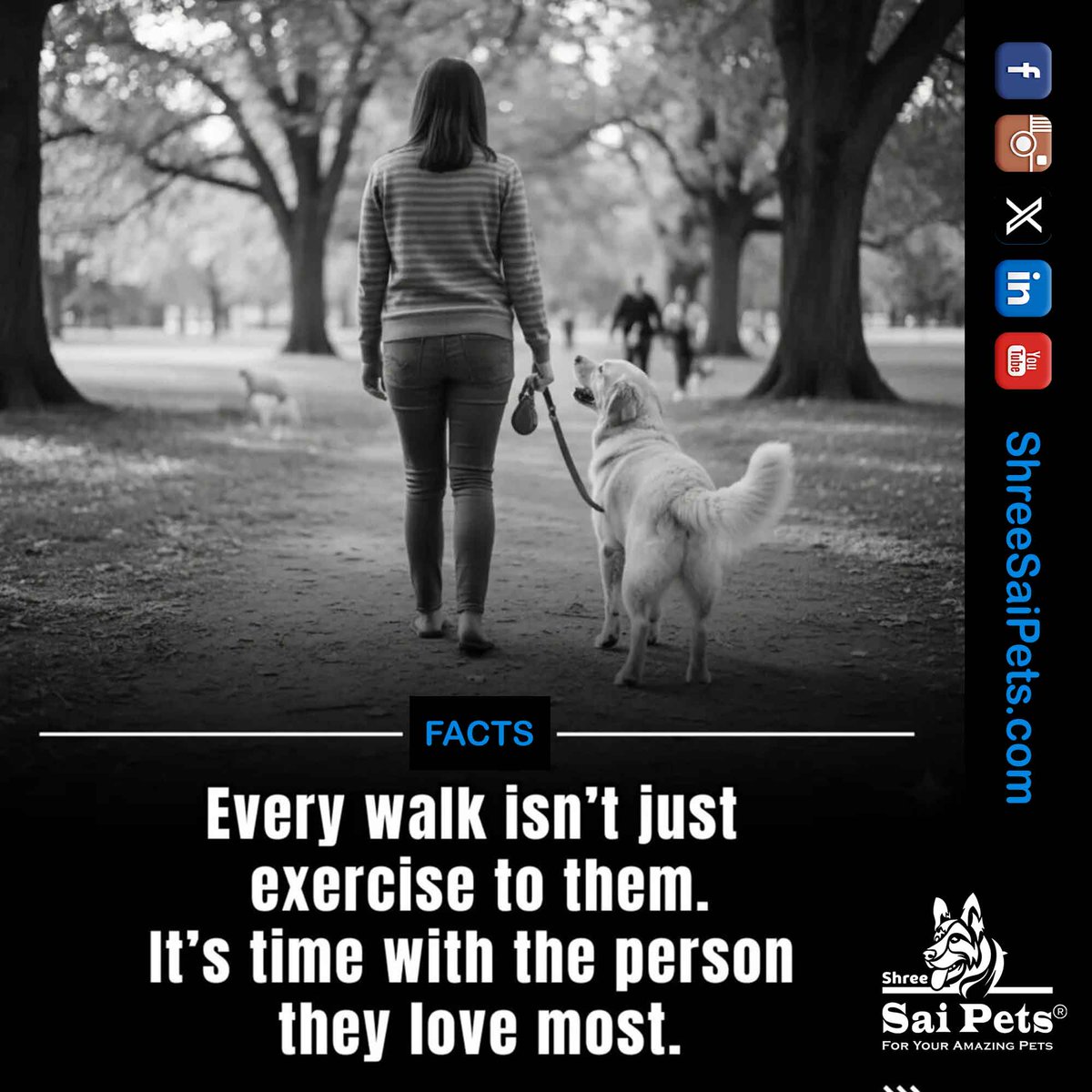 ShreeSaiPets's tweet photo. They don’t just listen. They understand.

#PetLove #HumanAnimalBond #DogBehavior #PetCare #ShreeSaiPets #PetWellness #EmotionalSupport #DogsOfLinkedIn

🐾 Explore thoughtful pet products and care essentials at Shree Sai Pets because they give you their all, they deserve the best. https://t.co/EKbz4l0BgP