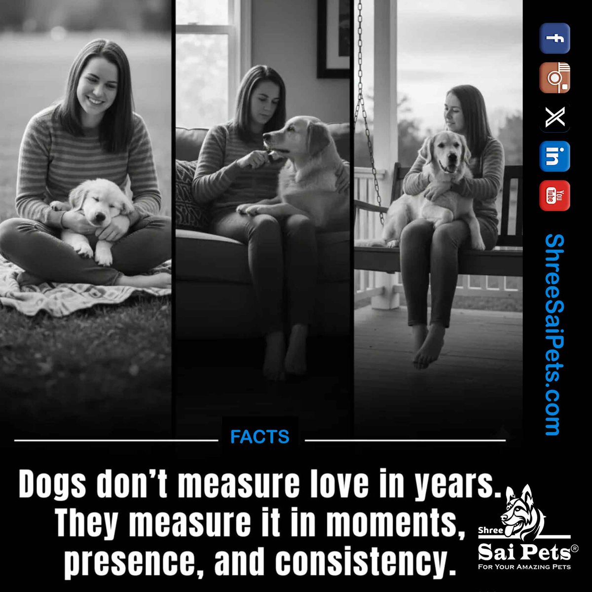 ShreeSaiPets's tweet photo. They don’t just listen. They understand.

#PetLove #HumanAnimalBond #DogBehavior #PetCare #ShreeSaiPets #PetWellness #EmotionalSupport #DogsOfLinkedIn

🐾 Explore thoughtful pet products and care essentials at Shree Sai Pets because they give you their all, they deserve the best. https://t.co/EKbz4l0BgP