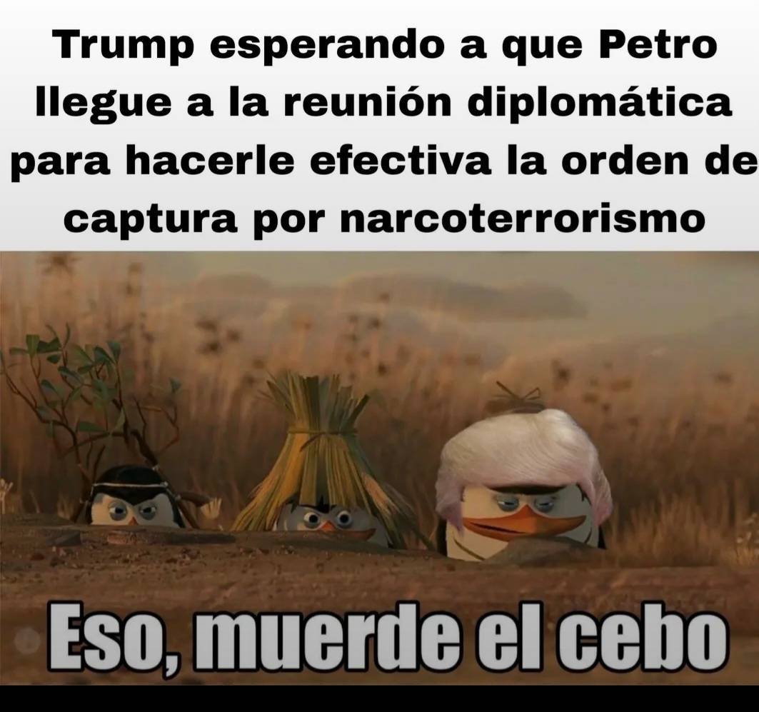 nacional_memes's tweet photo. jajajajaja, es una trampa  🐶 https://t.co/W8ctzDViMM