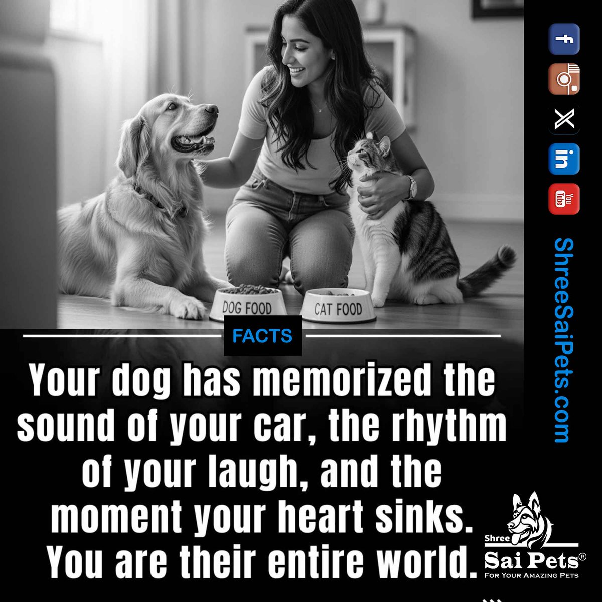 ShreeSaiPets's tweet photo. They don’t just listen. They understand.

#PetLove #HumanAnimalBond #DogBehavior #PetCare #ShreeSaiPets #PetWellness #EmotionalSupport #DogsOfLinkedIn

🐾 Explore thoughtful pet products and care essentials at Shree Sai Pets because they give you their all, they deserve the best. https://t.co/WZoG8PniYl