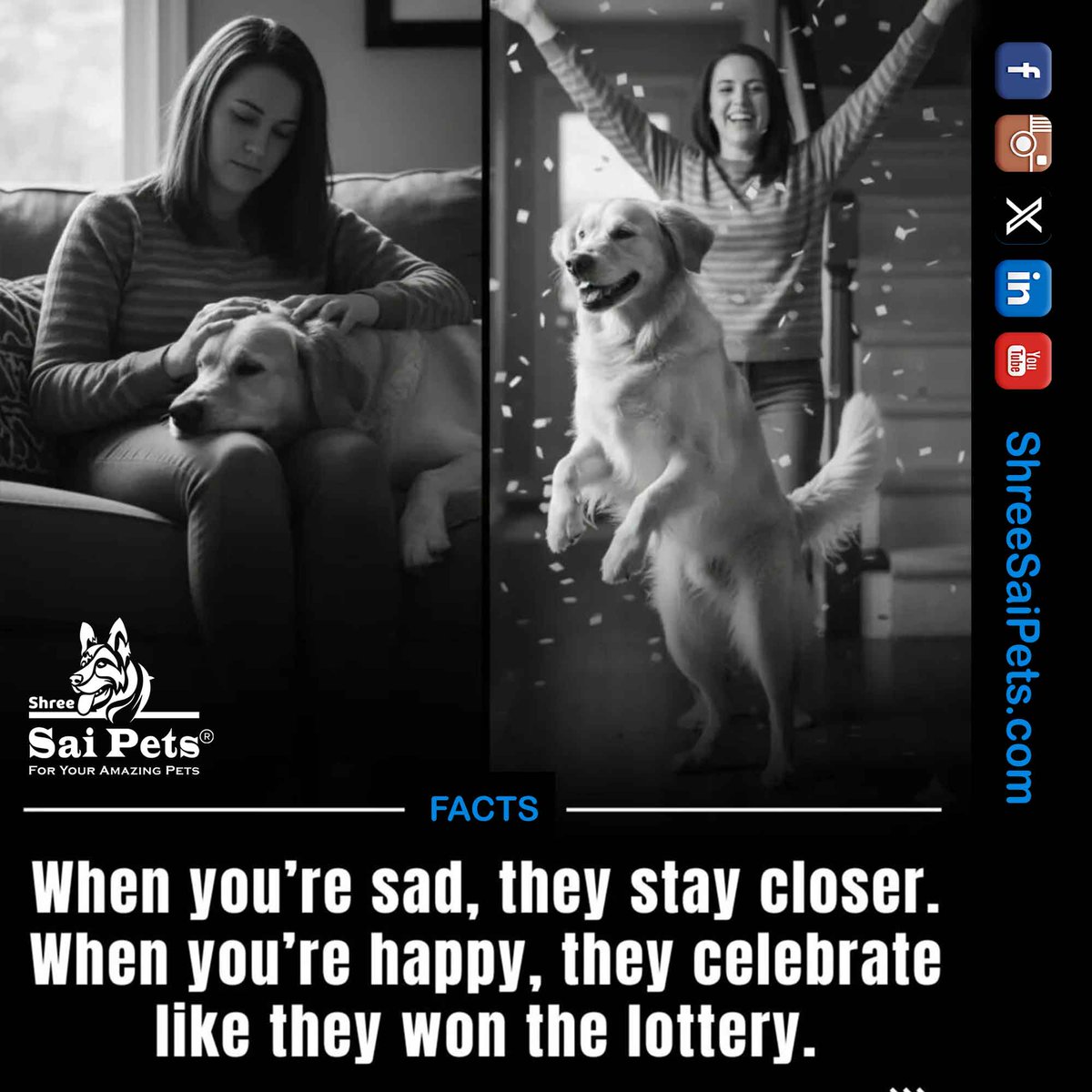 ShreeSaiPets's tweet photo. They don’t just listen. They understand.

#PetLove #HumanAnimalBond #DogBehavior #PetCare #ShreeSaiPets #PetWellness #EmotionalSupport #DogsOfLinkedIn

🐾 Explore thoughtful pet products and care essentials at Shree Sai Pets because they give you their all, they deserve the best. https://t.co/WZoG8PniYl