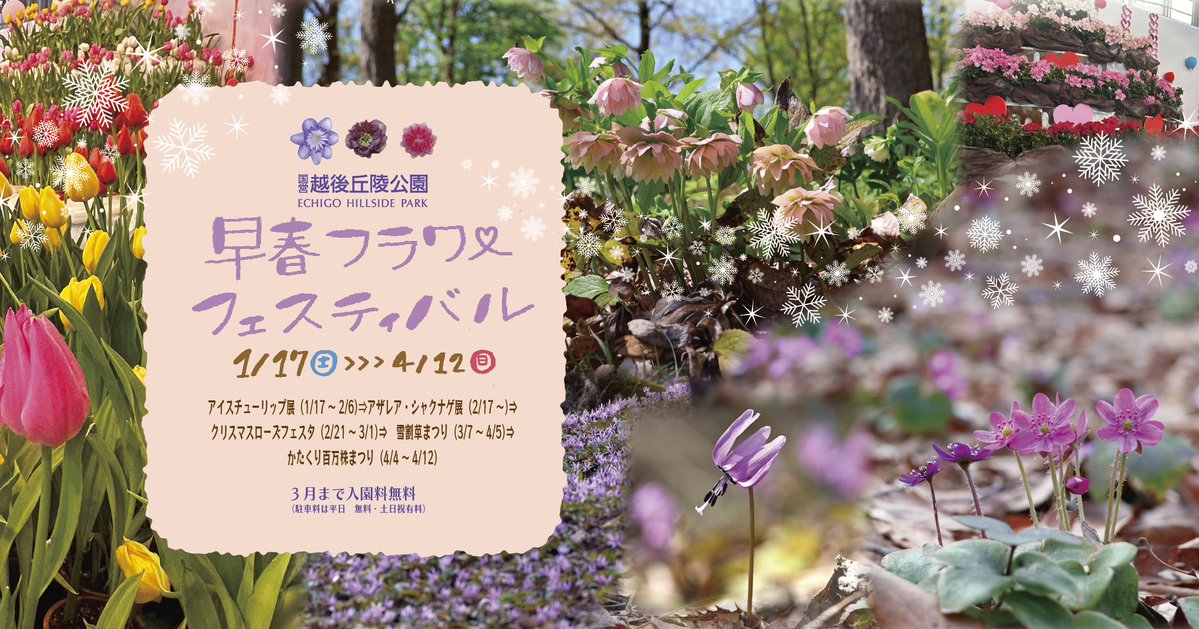 国営越後丘陵公園(公式) tweet media